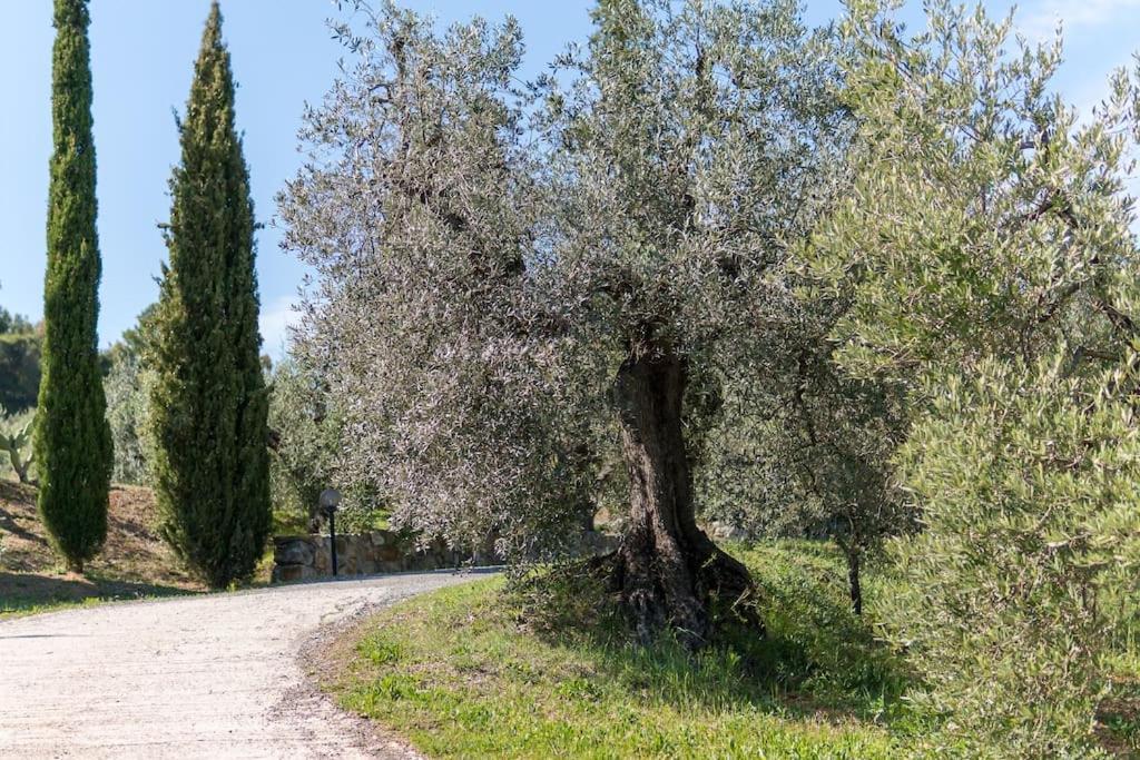 Agriturismo De Santis Farm stay *