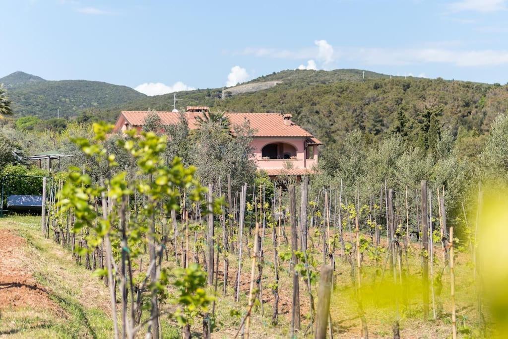 Agriturismo De Santis Farm stay *