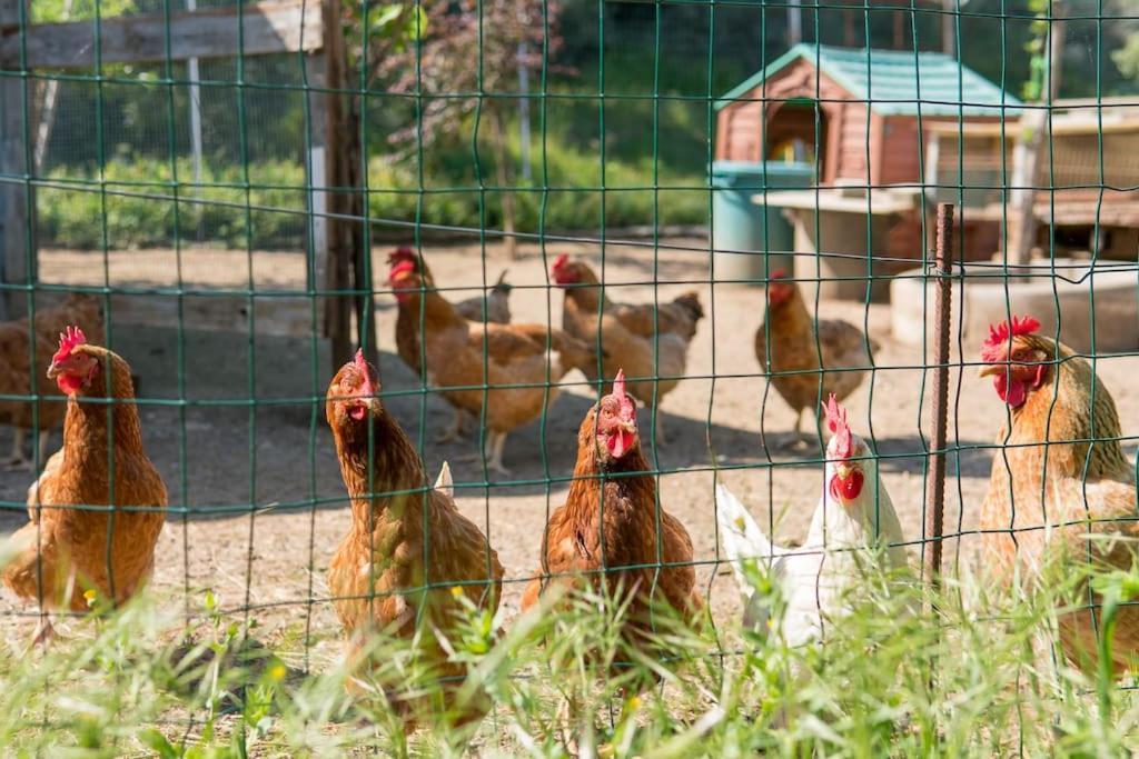 Agriturismo De Santis Farm stay