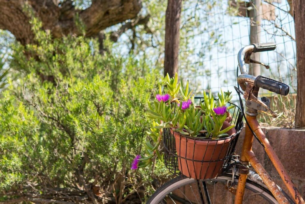De Santis Séjour à la ferme Castiglioncello