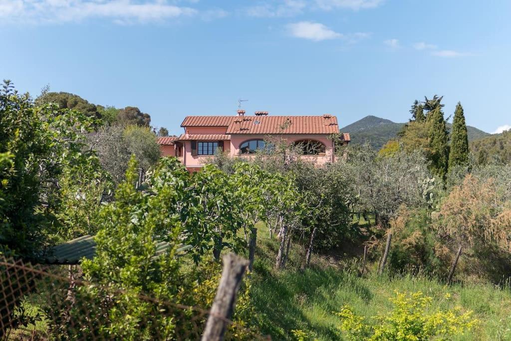 De Santis Castiglioncello