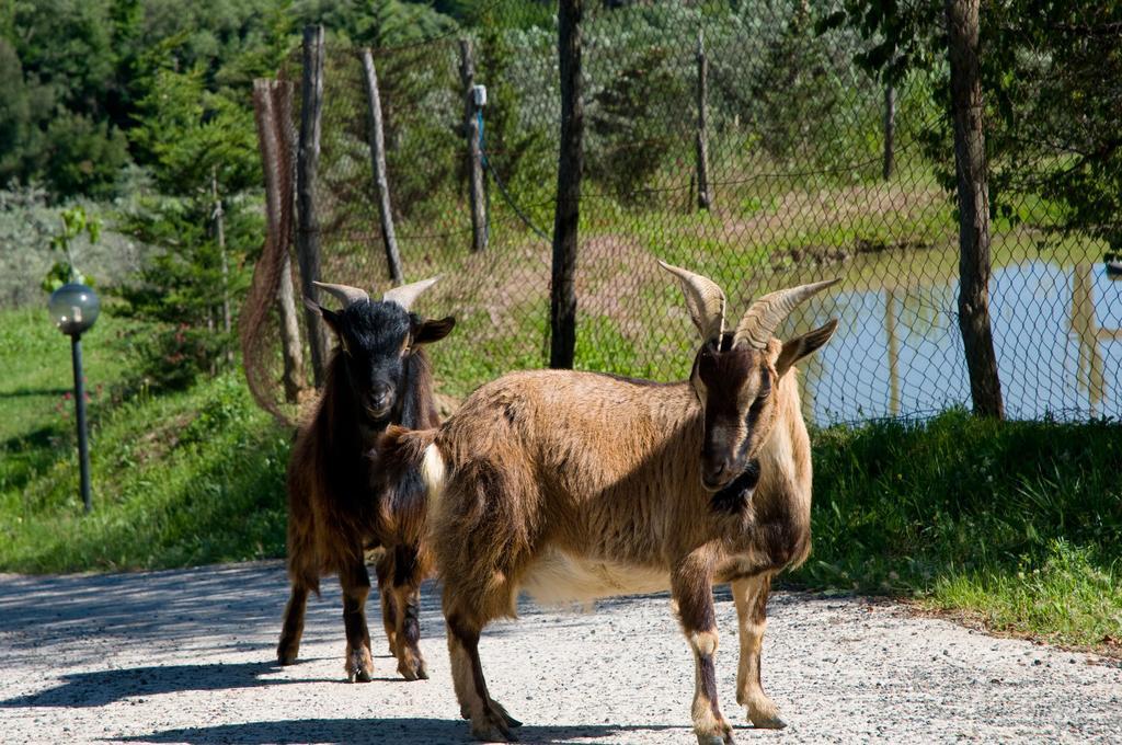 De Santis Castiglioncello